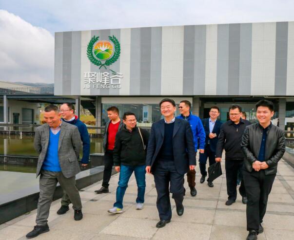 集團(tuán)黨委書記、董事長任丁率隊(duì)調(diào)研聚峰谷