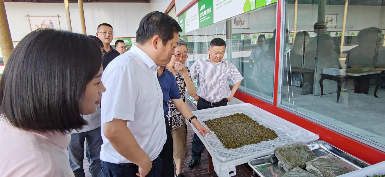 省尊龍凱時集團黨委副書記、董事陳日赴嘉陵區(qū)調(diào)研茶桑產(chǎn)業(yè)發(fā)展情況
