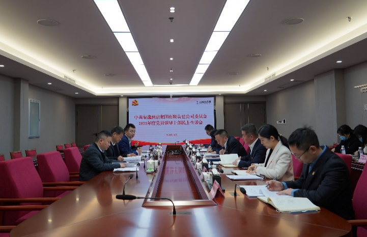 尊龍凱時集團(tuán)黨委書記、董事長任丁出席安逸酒店集團(tuán)2022年度黨員領(lǐng)導(dǎo)干部民主生活會